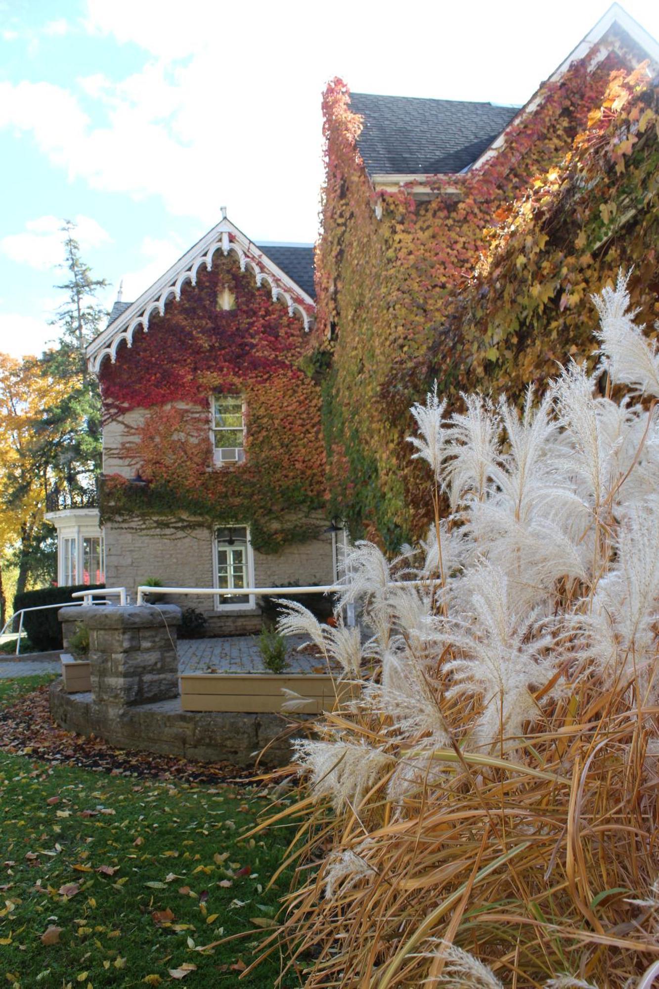 Westover Inn Saint Marys Εξωτερικό φωτογραφία